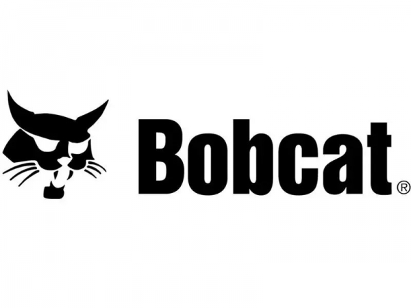 Bobcat